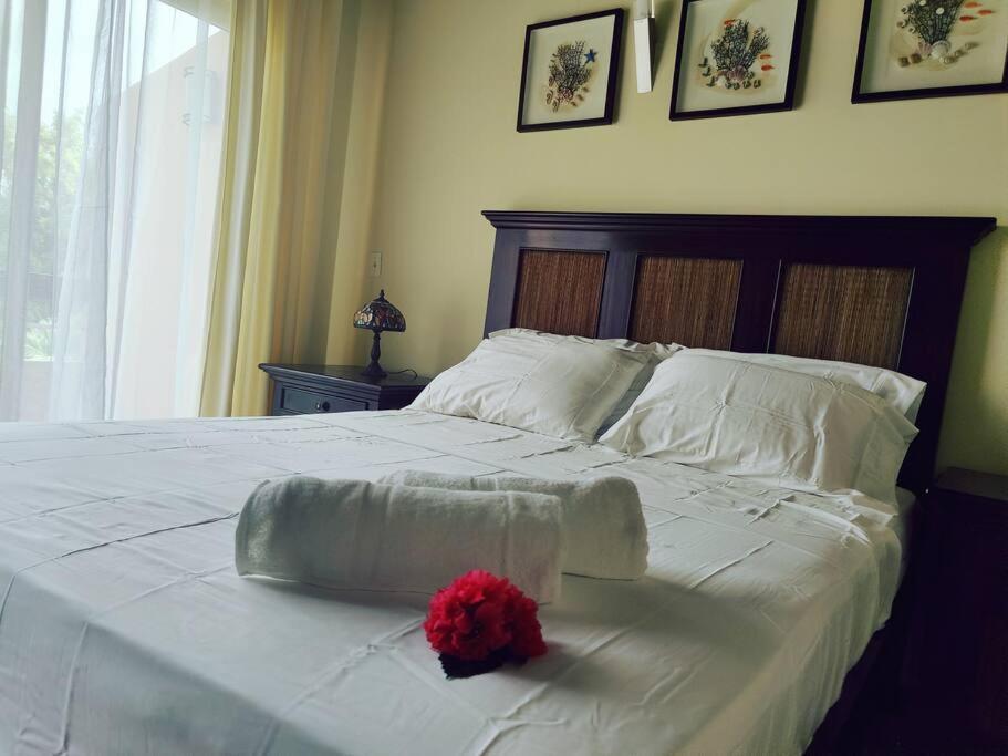 Aruba Family Oasis 2Br Pool 3Min Walk To Eagle Beach Palm Beach Eksteriør billede
