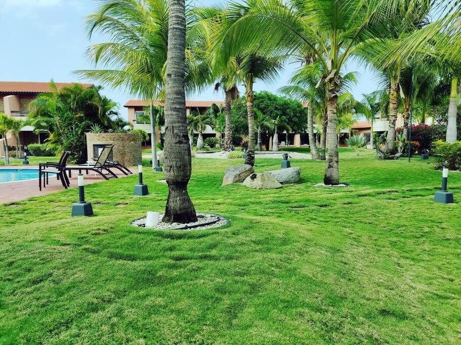 Aruba Family Oasis 2Br Pool 3Min Walk To Eagle Beach Palm Beach Eksteriør billede