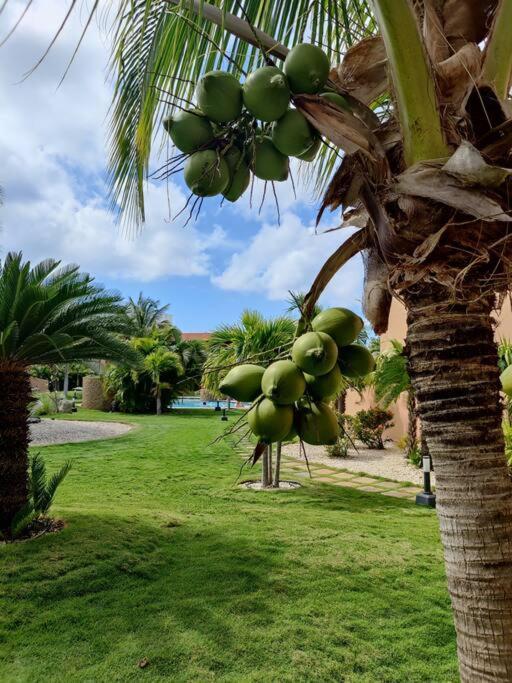 Aruba Family Oasis 2Br Pool 3Min Walk To Eagle Beach Palm Beach Eksteriør billede