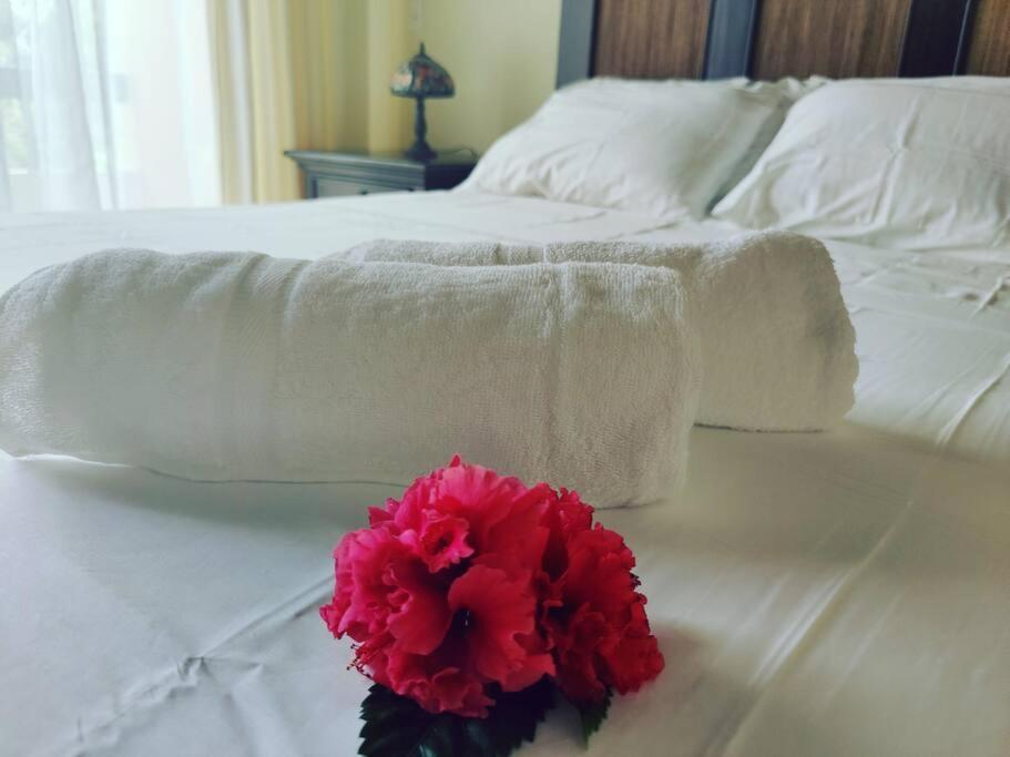 Aruba Family Oasis 2Br Pool 3Min Walk To Eagle Beach Palm Beach Eksteriør billede