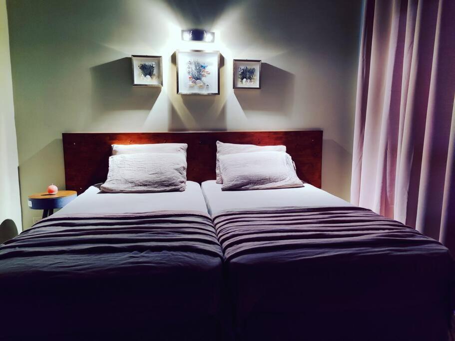 Aruba Family Oasis 2Br Pool 3Min Walk To Eagle Beach Palm Beach Eksteriør billede