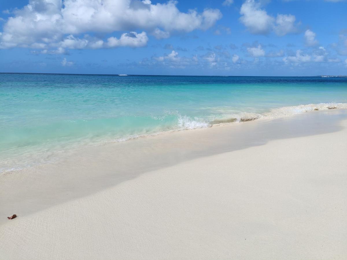 Aruba Family Oasis 2Br Pool 3Min Walk To Eagle Beach Palm Beach Eksteriør billede