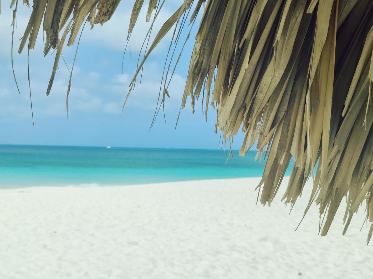 Aruba Family Oasis 2Br Pool 3Min Walk To Eagle Beach Palm Beach Eksteriør billede