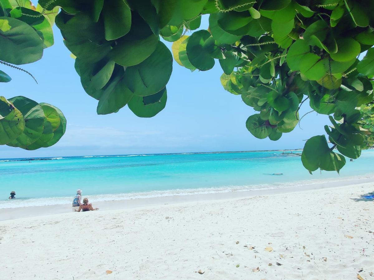 Aruba Family Oasis 2Br Pool 3Min Walk To Eagle Beach Palm Beach Eksteriør billede